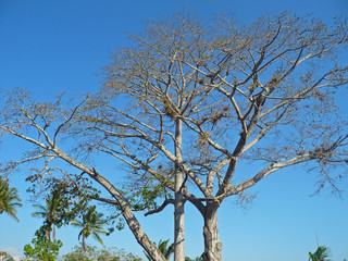 BARICHARA-SANTANDER