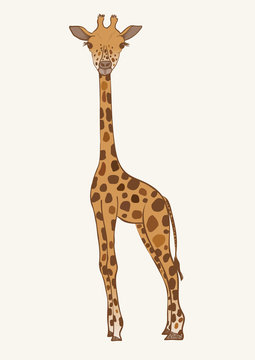 Hand drawn colored vector giraffe.
