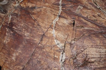 Marbled Rock Red