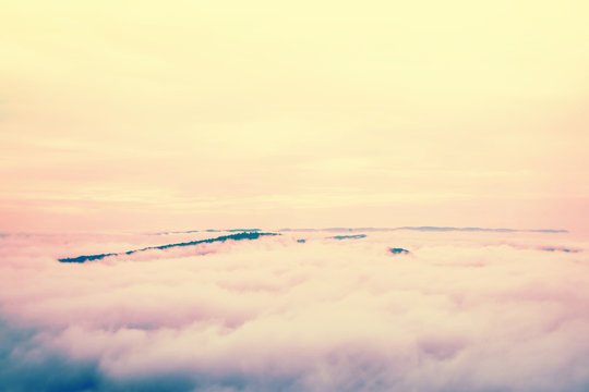 Sea mist at morning  on the mountain