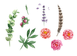 Watercolor set with leaves, peonies, feather and lavender on white background