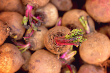 close-up of heap of beetroot, fresh vegetables raw food background.