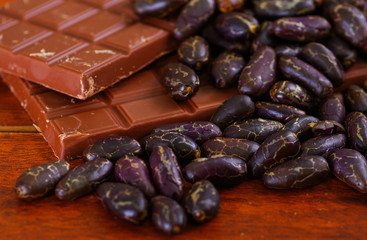 Cocoa beans and chocoalte bar on natural wooden table