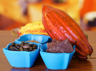 Close up of a fresh cocoa pods: dark dry cocoa bean, pieces of chocolate and powdered cocoa inside of a blue plastic bowl in a wooden background