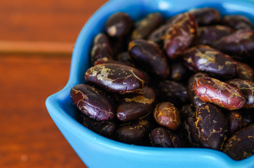 Close up of a dark dry cocoa bean inside of a blue plastic bowl on wooden blackground