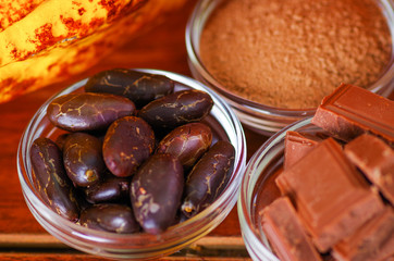 Close up of a dark dry cocoa bean, pieces of chocolate and powdered cocoa in crystal bowls