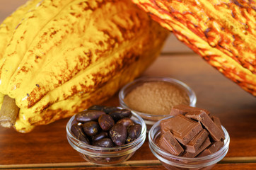 Close up of a fresh cocoa pods: dark dry cocoa bean, pieces of chocolate and powdered cocoa in crystal bowls