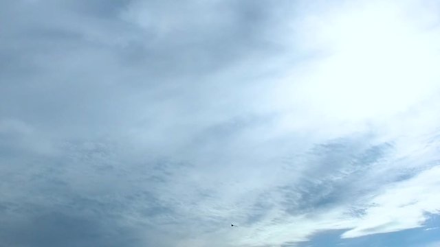 Slow Motion: A swift bird flying in a blue sky. 120fps.