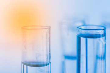 Test tubes in chemical laboratory