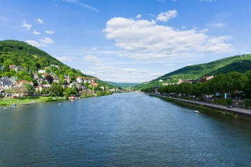 Heidelberger Neckar - obrazy, fototapety, plakaty