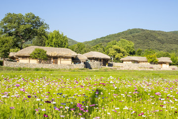 Fototapeta na wymiar 한국의 전통 민속마을 풍경