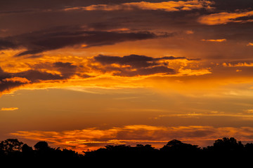 Sunset over Amazonian jungle, Peru