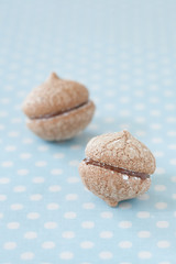 チョコレートサンドイッチクッキー