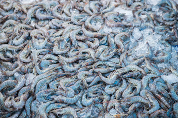 Fresh shrimp