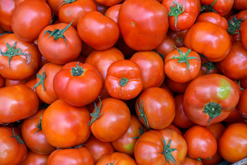 red tomatoes background. Group of tomatoes