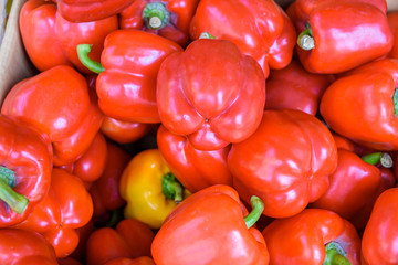  bell pepper in market place