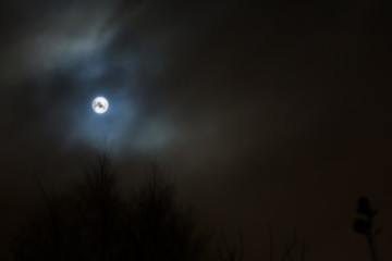 Dark Night and Moon