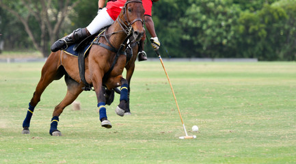 polo player Play in games.