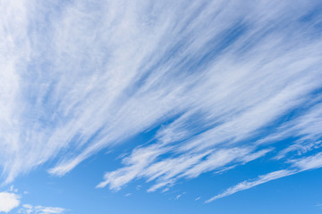 Beautiful cirrus clouds against the blue sky