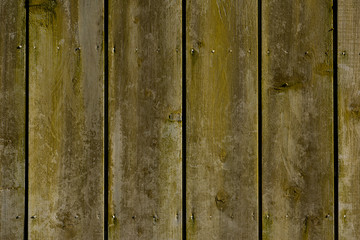 wall wood