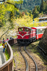 Fototapeta premium Alishan forest train in Alishan National Scenic Area during spring season.