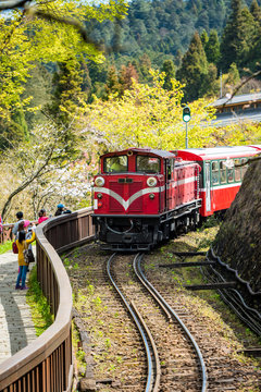 Alishan forest train in Alishan National Scenic Area during spring season.