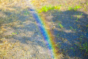 rainbow field