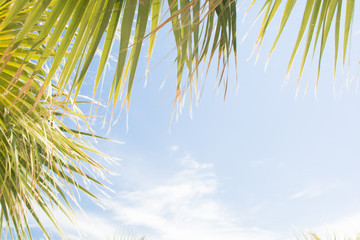 Photo backdrop to use in header inspirational quote about summer vacation time or holiday mood.