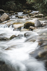 Falschauer, Lana, Italy