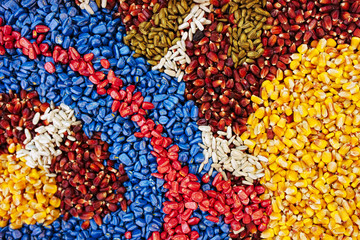 Fototapeta na wymiar Colorful texture of chemically treated corn maize crop seed