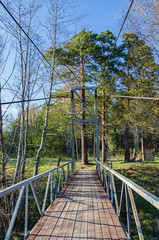 Obraz premium On the suspension bridge