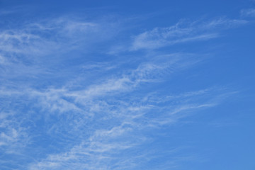 Fototapeta premium blue sky with cloud