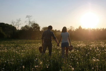 couple of young people walking in the sunset spring evening in a field