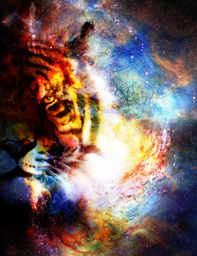 magical space tiger and ornament, multicolor computer graphic collage.