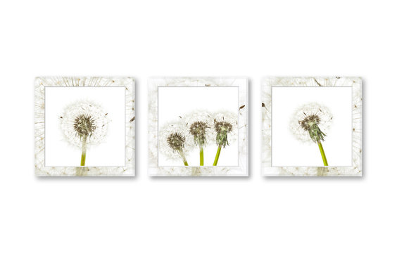 Three modern frames  with floral design pictures, interior decor wallpaper mockup