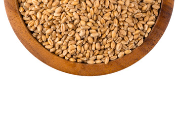 Wheat grain in bowl