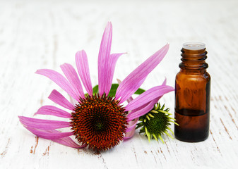 Obraz na płótnie Canvas bottle with essence oil with purple echinacea