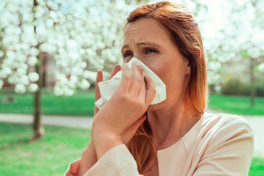 allergie durch pollen
