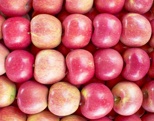 organic apples closeup at the local market
