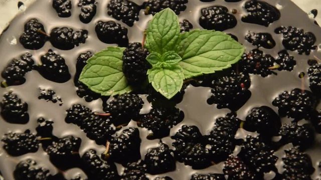 Morus Moru&scaron;ovn&iacute;k Gelso Maulbeeren Mulberry Maulbeerb&auml;ume Fruit Morwa Morar Mora Шелковица &Mu;&omicron;&upsilon;&rho;&iota;ά Murva &phi;&upsilon;&tau;ό Mor&acirc;r