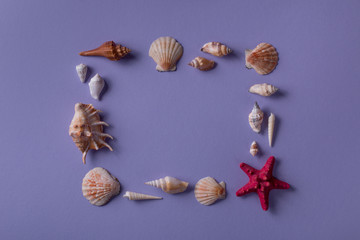 Summer background: From above shot on arranged frame of seashells and sea star on purple table with copy space for text. Top view. Flat lay.