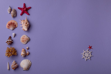 Summer background: Beautiful seashells and sea star arranged on left  and small decorative steering of purple table. Top view. Flat lay.