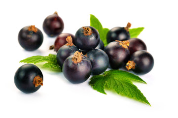 Black Currant Berries. Bunch of black currant fruits with leaf