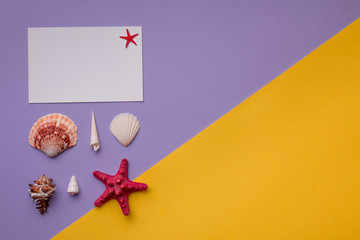 Summer background: Beautiful seashells around paper card on vivid with copy space for text. Flat lay. Top view.
