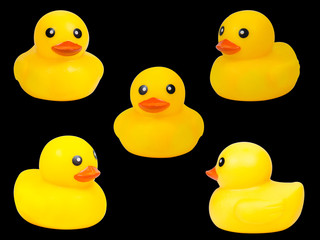 Cute yellow rubber duck isolated over black background,clipping path