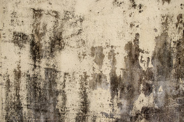 Concrete textured wall with mold spots. Empty abstract background for web design and presentation with space for text.