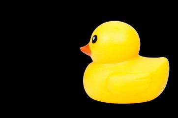 Cute yellow rubber duck on black background,clipping path