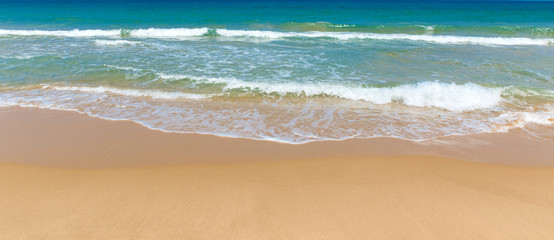 beach and tropical sea