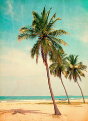 Obraz premium Coconut tree on the sky background- - retro styled picture