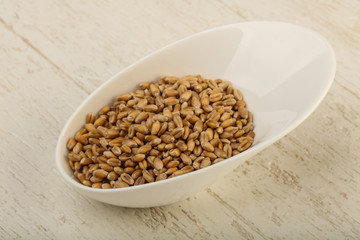 Wheat grains